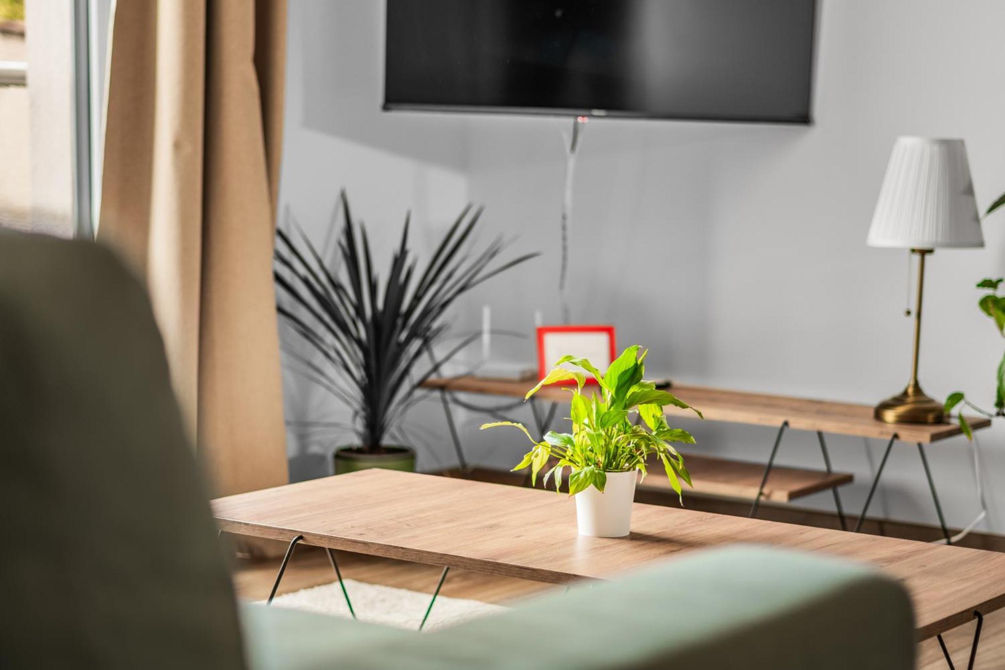 Apartman Anna Nové Město nad Metují Eksteriør billede